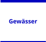 Gewsser